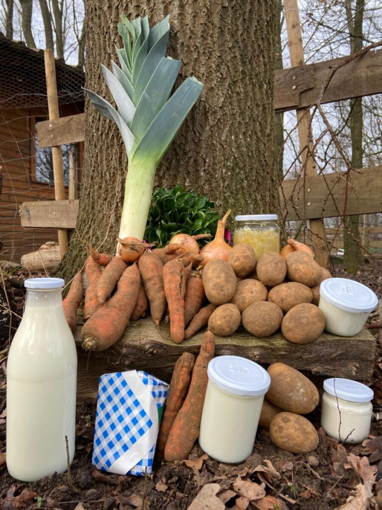 Saisonaler Ernteanteil mit verschiedenen Gemüsesorten und Milchprodukten, ein Baumstamm im Hintergrund