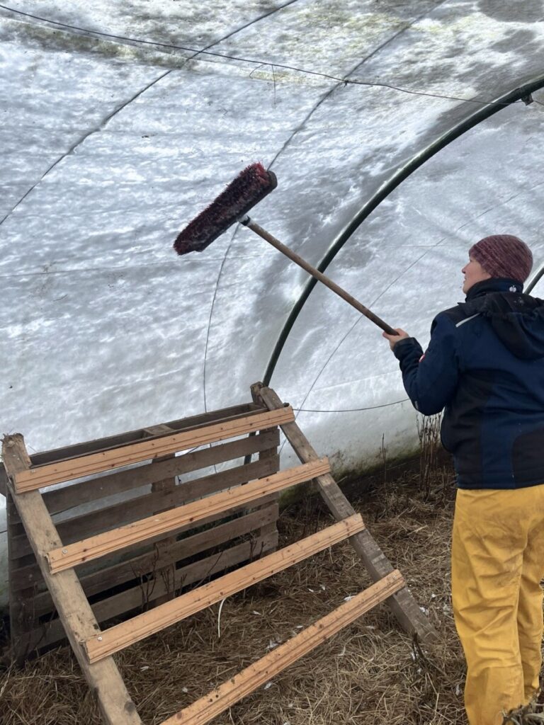 Katharina klopft den Schnee vom innen herunter